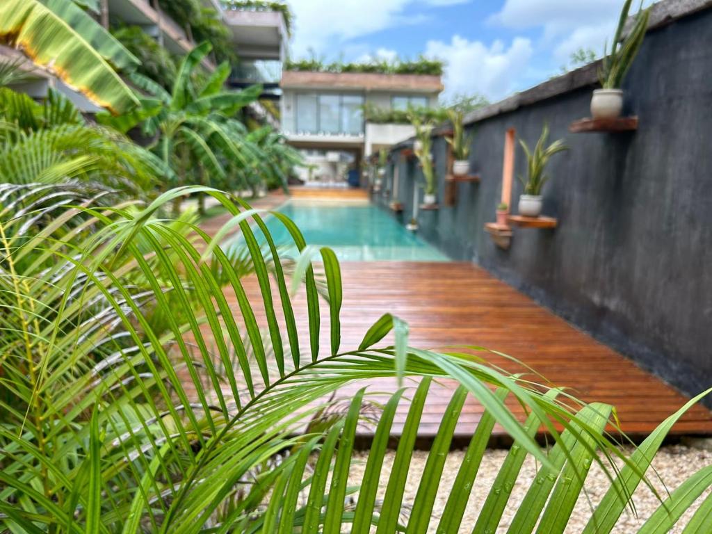 Estudio con Jacuzzi Privado en Xamira - 3