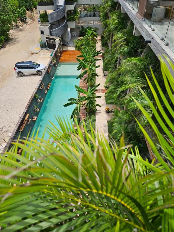 Estudio con Jacuzzi Privado en Xamira - 2