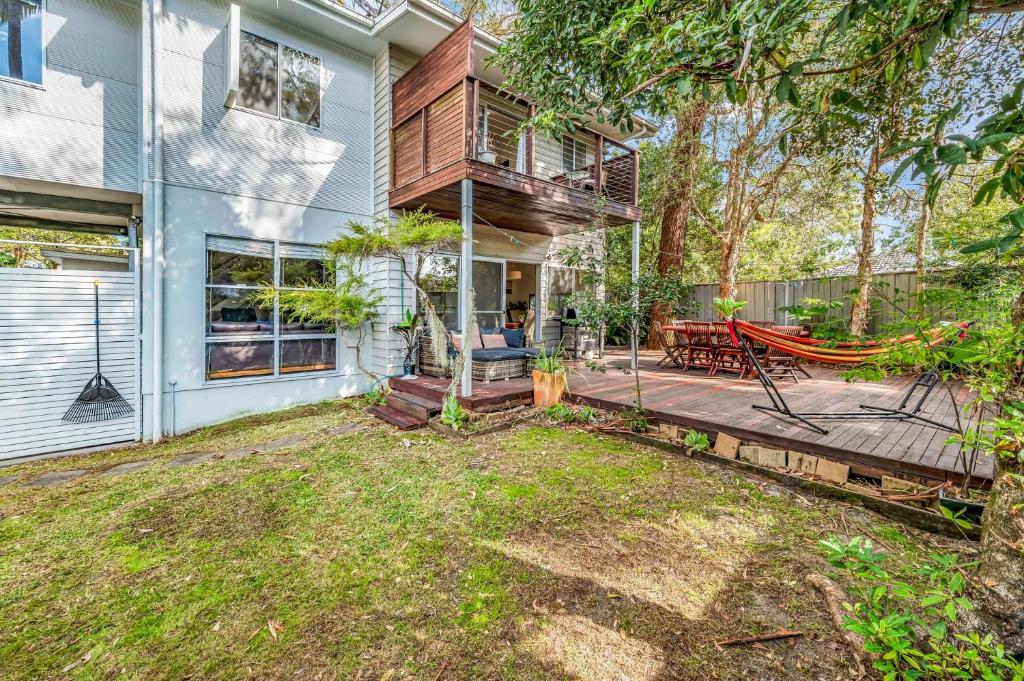 Paperbarks by the beach, Hawks Nest