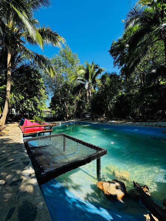 Swimming pool