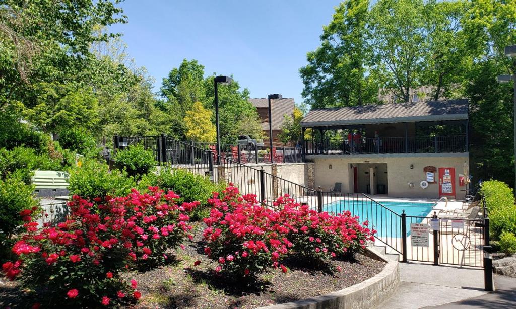 Elk Crossing, Pigeon Forge