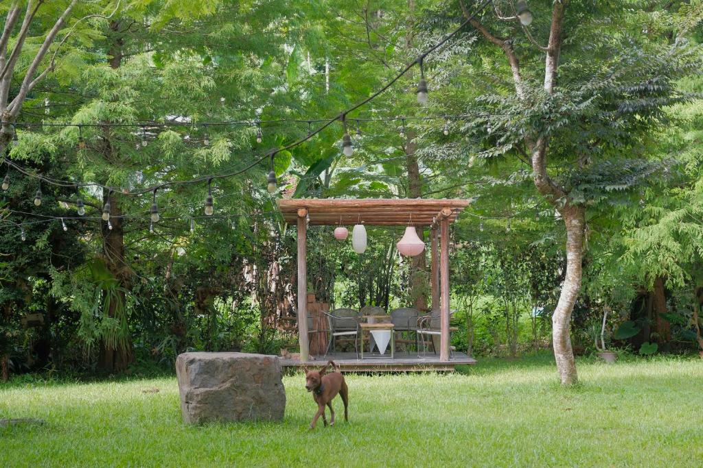 花園