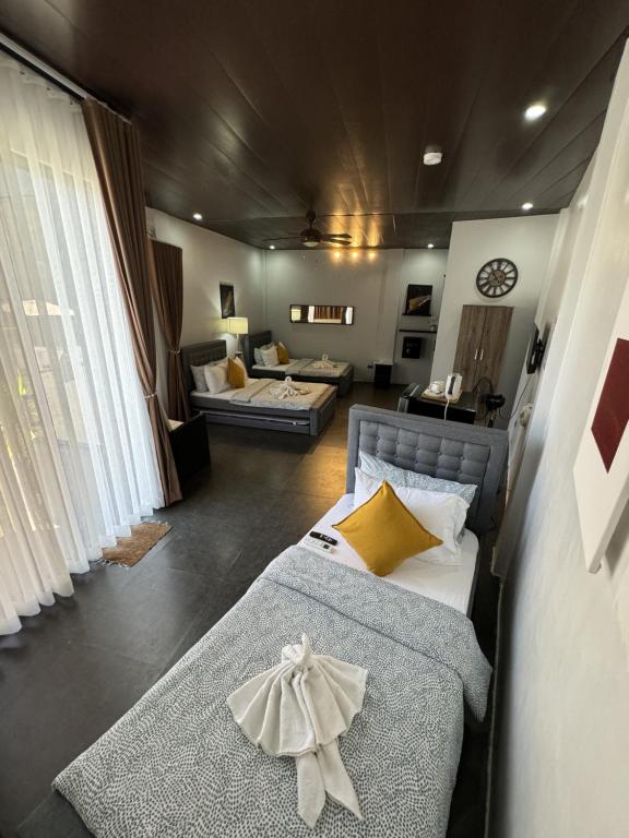 데 포치 볼리나오