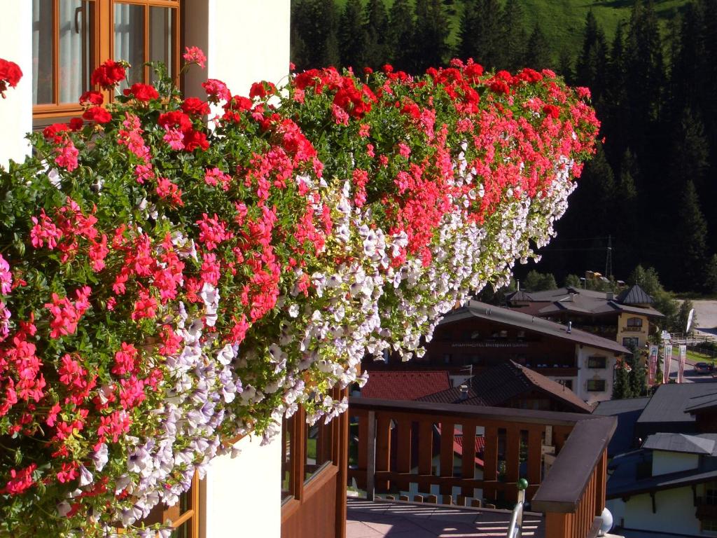 Haus Panorama - 4