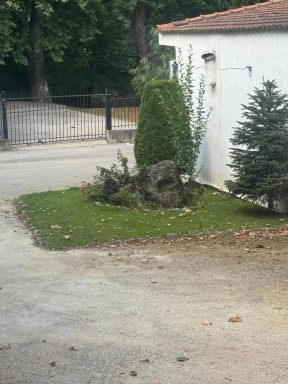 Andromaxistudios, Kókkinon Nerón