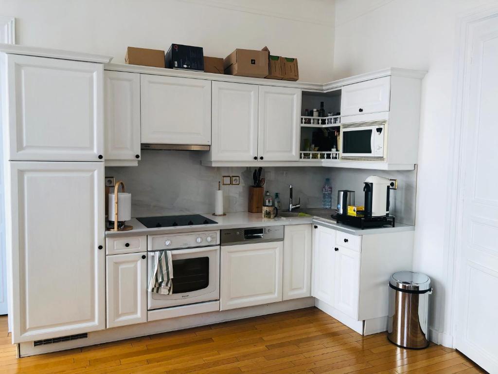 Comfortable and Luxury Appart-Center of Paris - 5