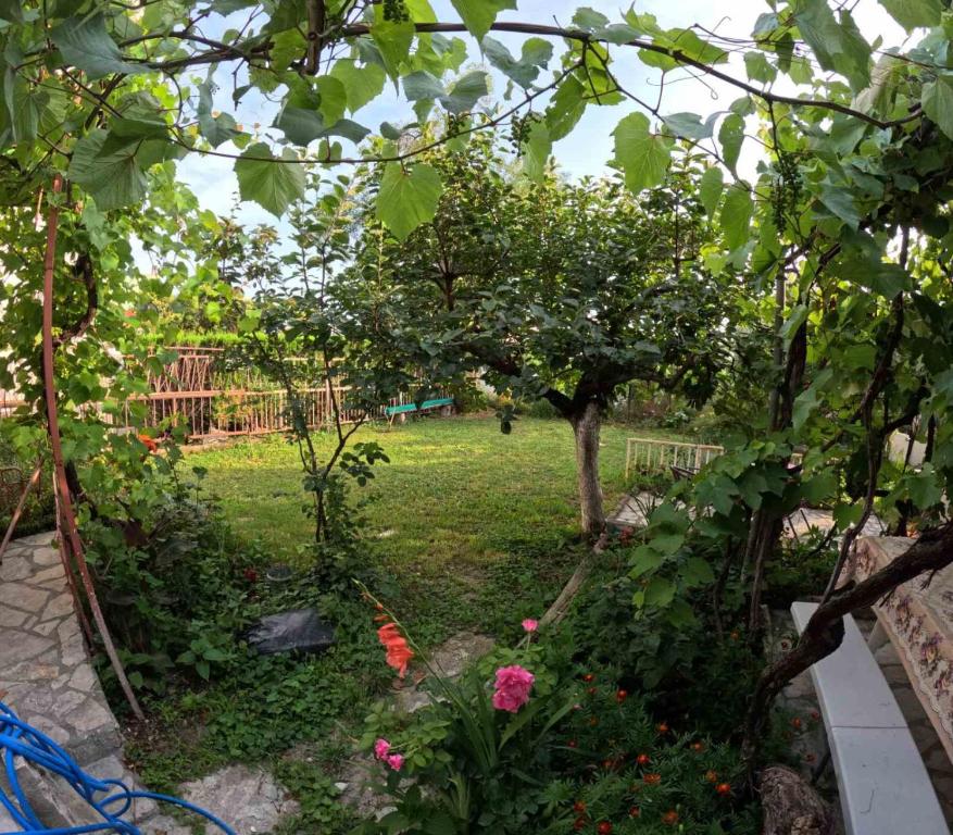 Apartmani Stanić, Sutomore