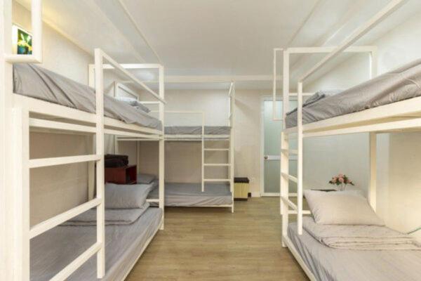 Hieu Hostel and tour