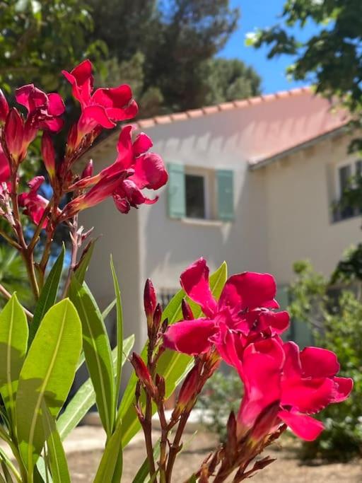 Villa Gyptis - Calanques, Calme & Spacieux - 3