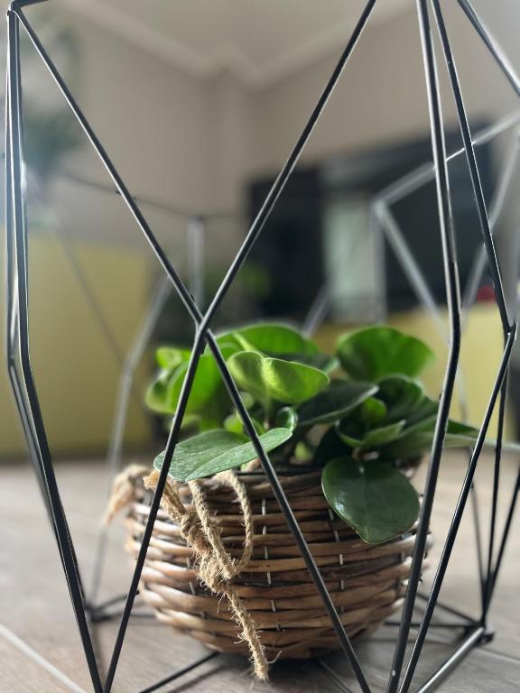 Maison LuCe - 2