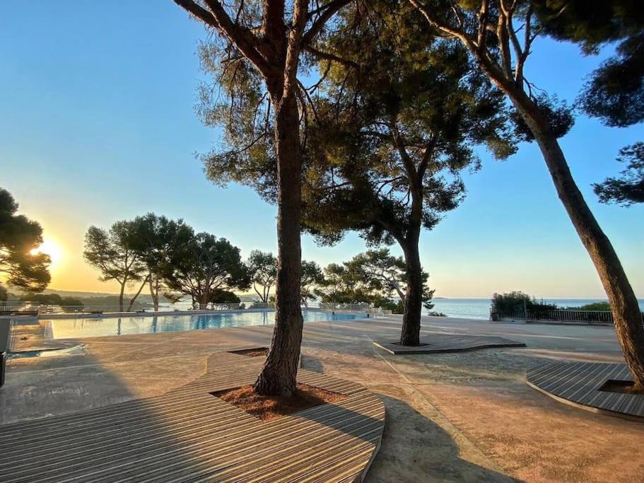 Studio Bord de mer cadre exceptionnel, Bandol