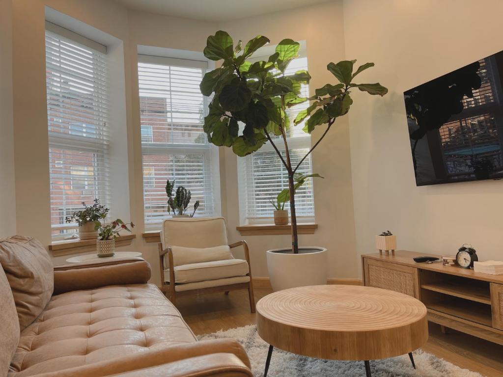 Beautiful Apartment shared with the Host in the Heart of Bushwick, Brooklyn
