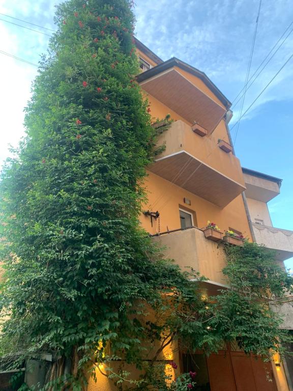 Yerevan's Heart, Jerevan