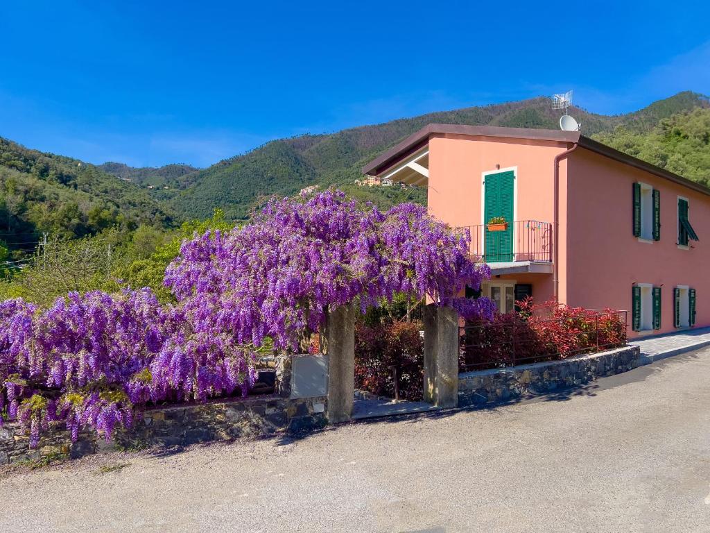 La Casa dei Glicini - 2