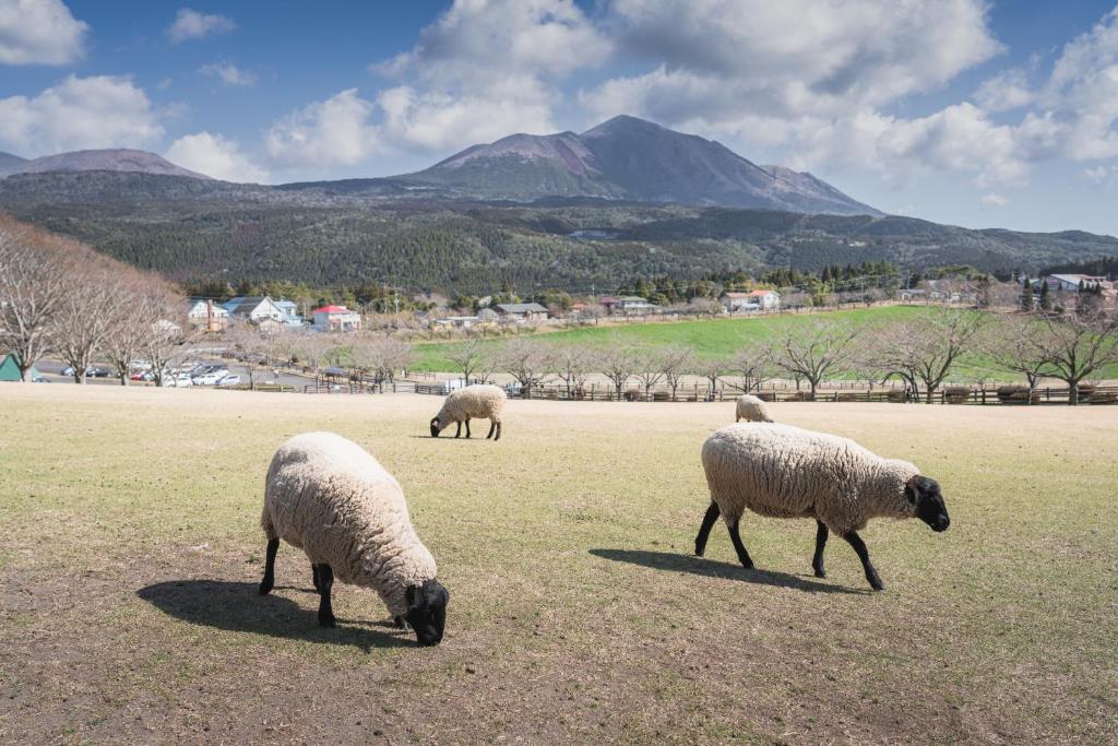 Surrounding environment