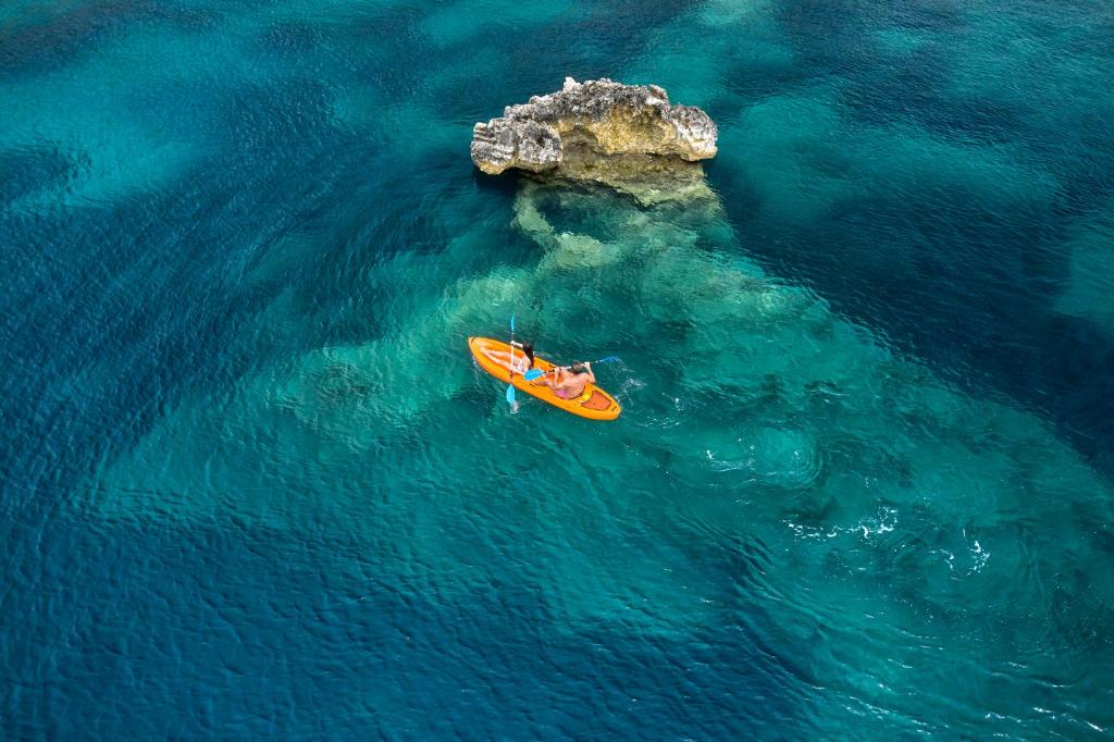 アクティビティ