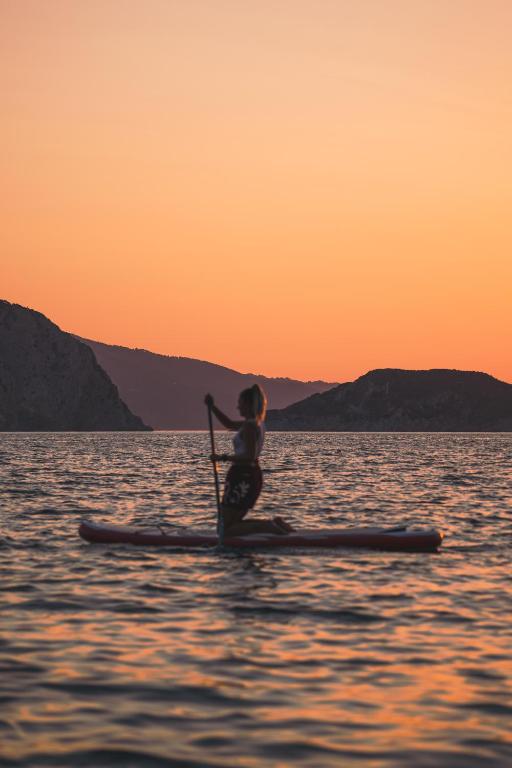 アクティビティ