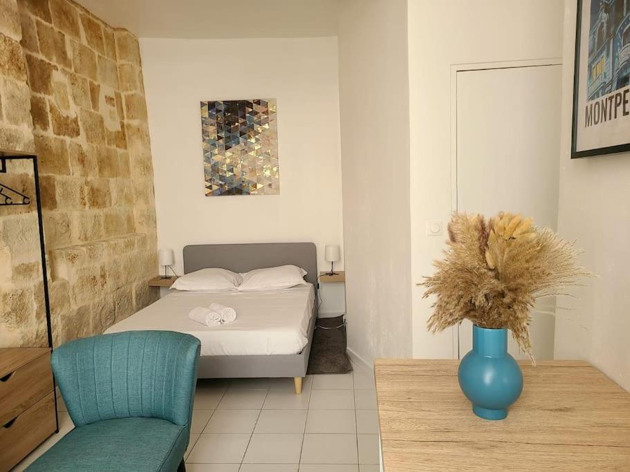 Appartement Cosy et Calme - Centre historique - 2