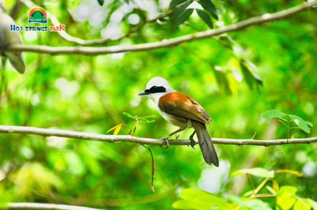 Surrounding environment