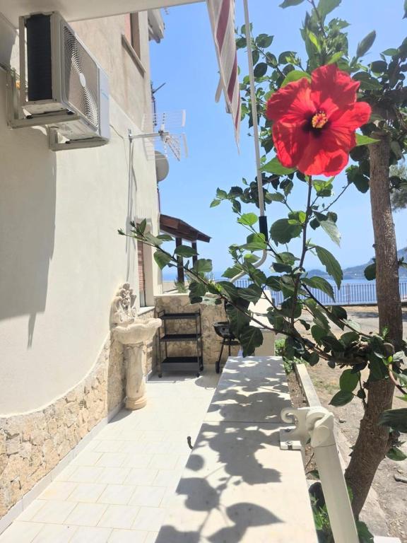 CASA VACANZE Bella - 2