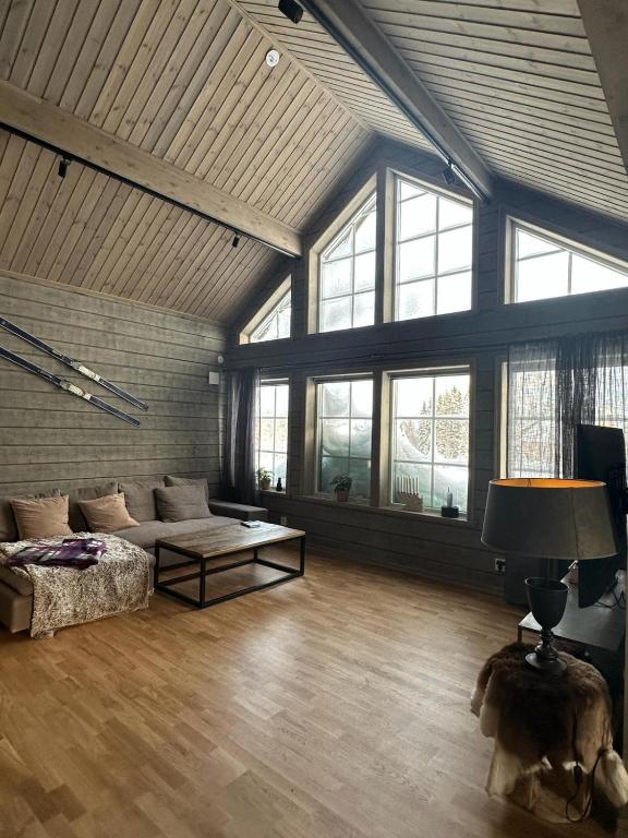 Mountain Birch - Fjäll Bjorken, Åre