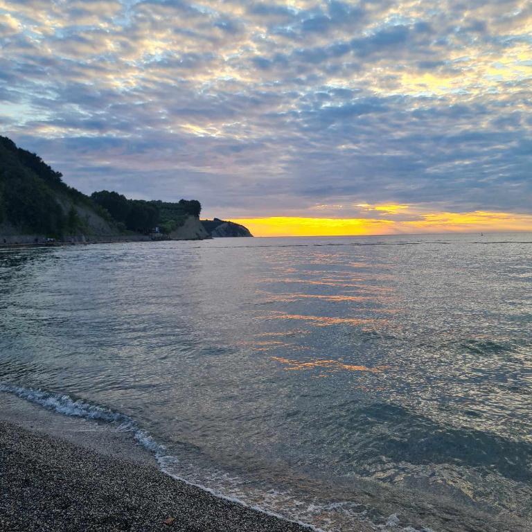 Studio Aurora, Izola