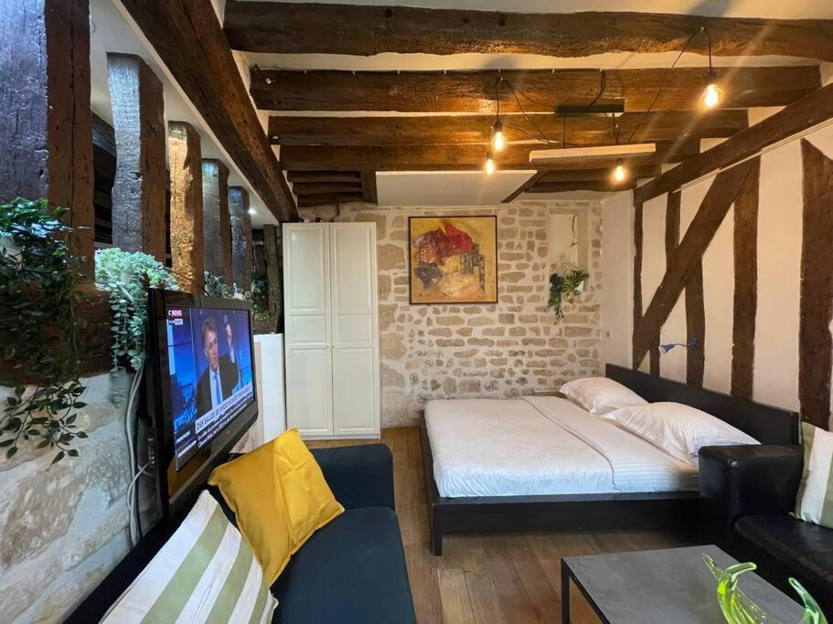 Amélie - Authentic 2BR Saint-André des Arts Historic Courtyard - 3