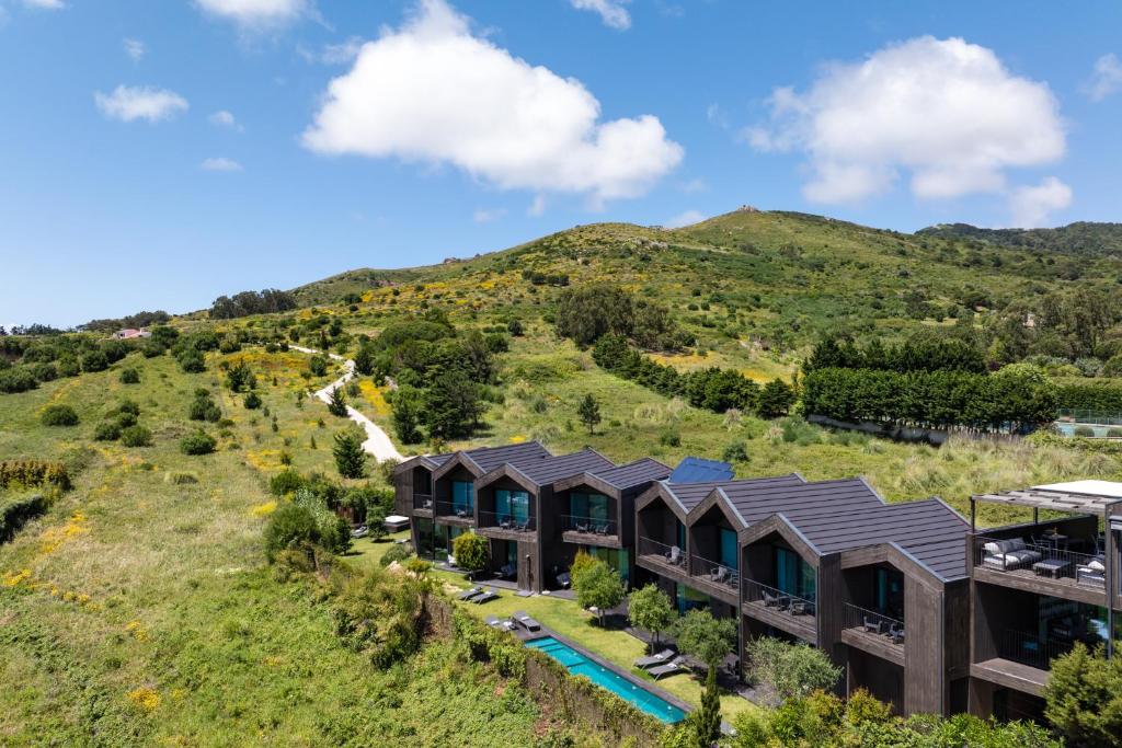ดรีม กิงโช (Dream Guincho)