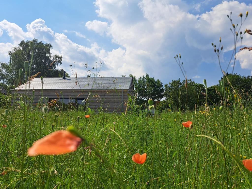 Hytte - Relais randonneur - capacité MAX de 9 personnes, Nadrin