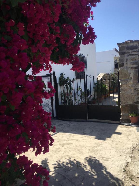 Apartamento Las adelfas, Tarifa