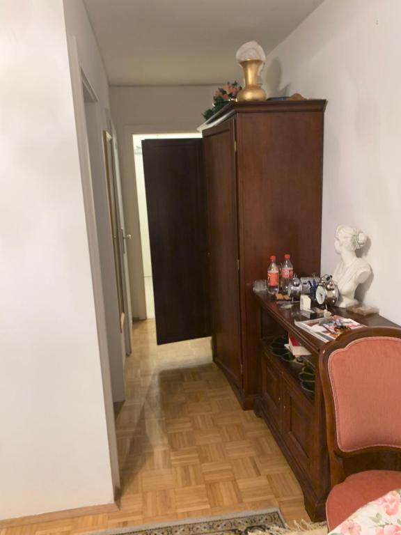 Einzimmerwohnung am Jakomini - 3