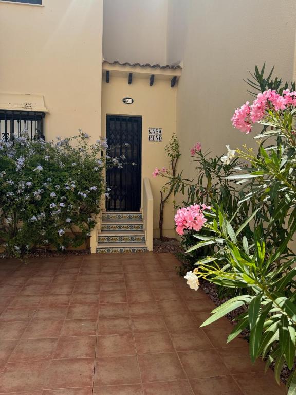 Orihuela - Las Ramblas - Casa Pino - 3
