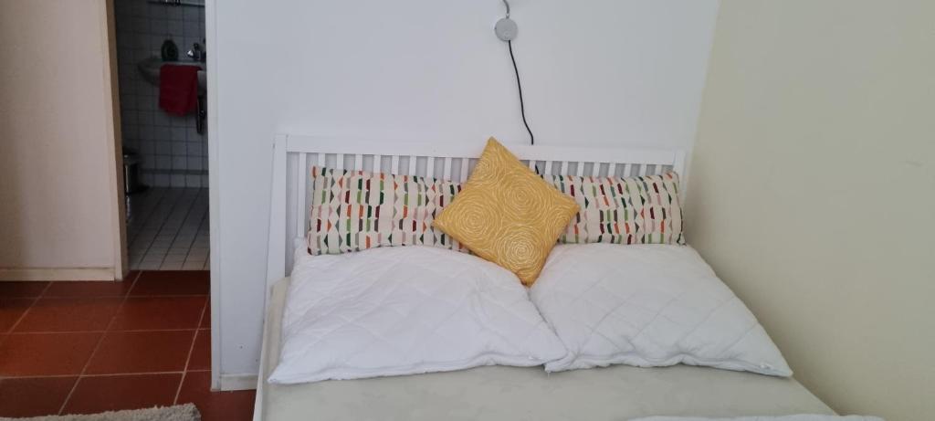 Rosa Canina W2, Kellenhusen