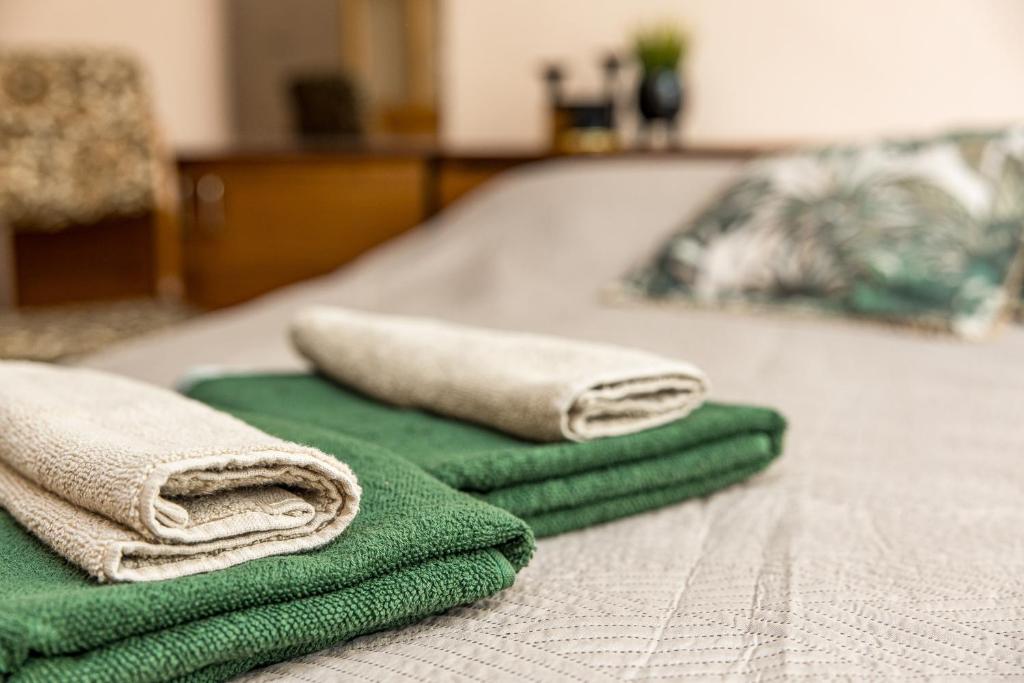 Janonio Central Apartment, Palanga