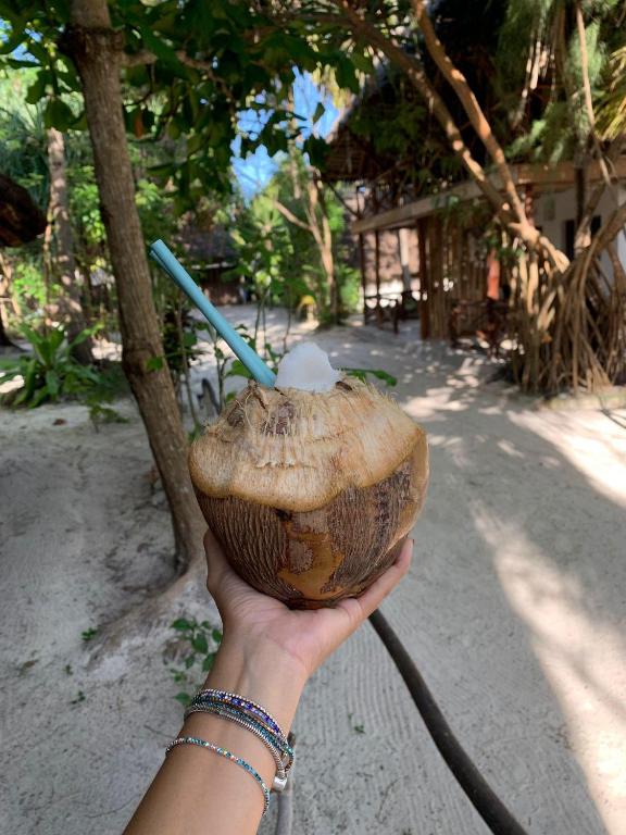 Eden Paradise, Michamvi