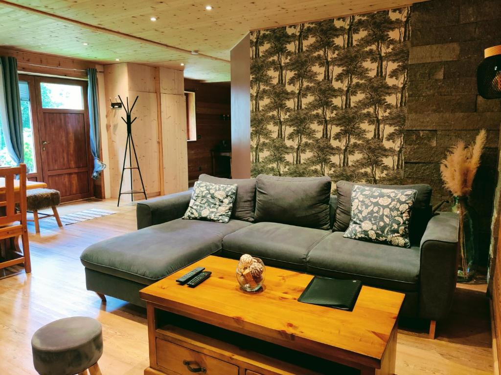 l'appartement montagnard d'Estelle 4-6 personnes - 2