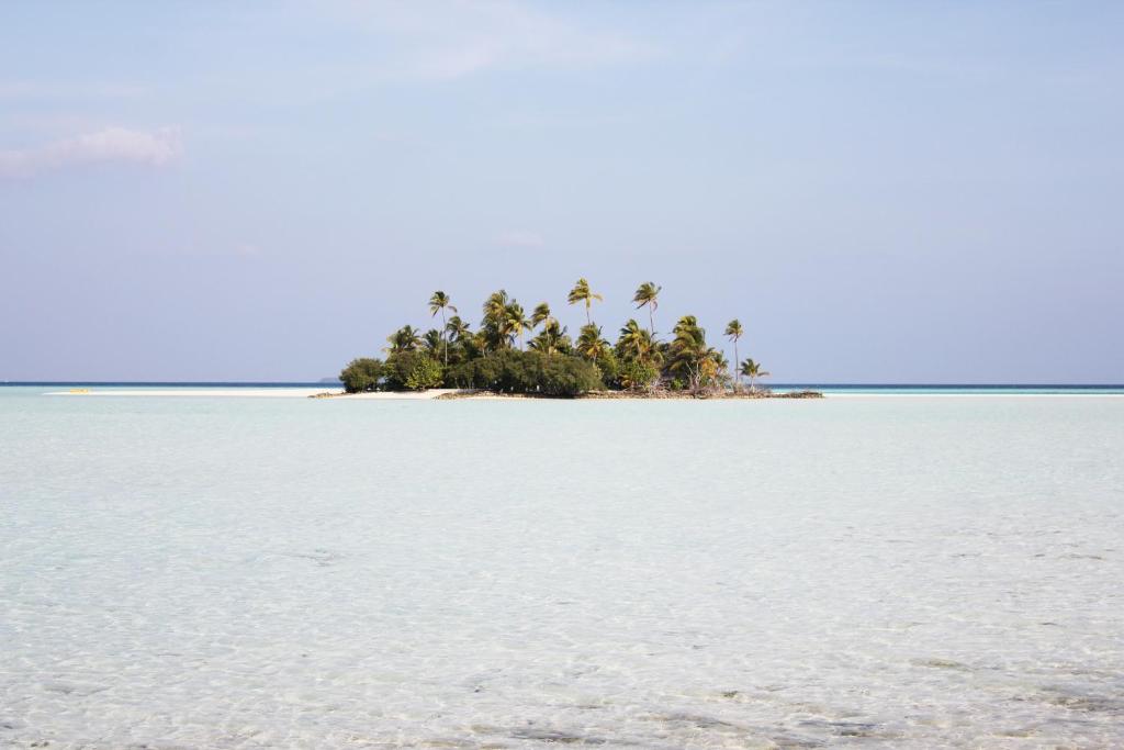 Surrounding environment