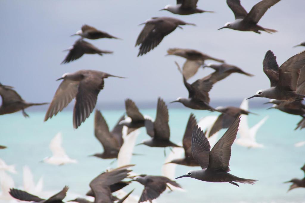 Surrounding environment