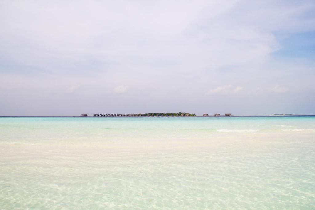 Surrounding environment