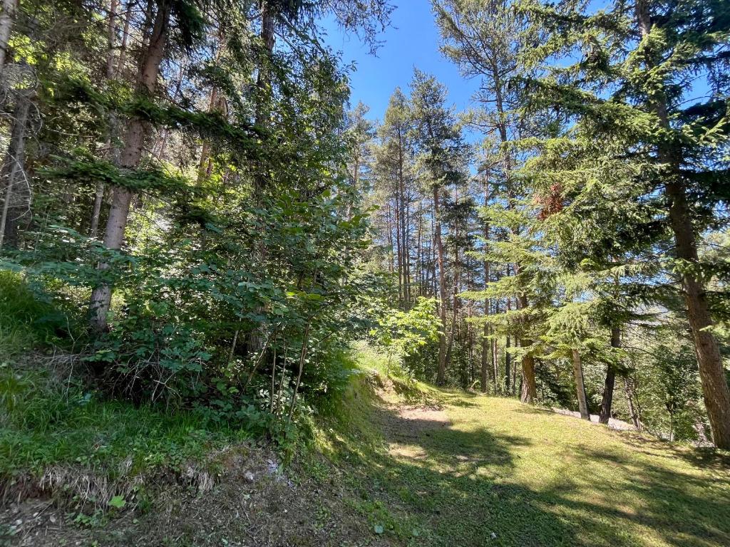 Chalet dans la verdure - Les Chapeliers - 2
