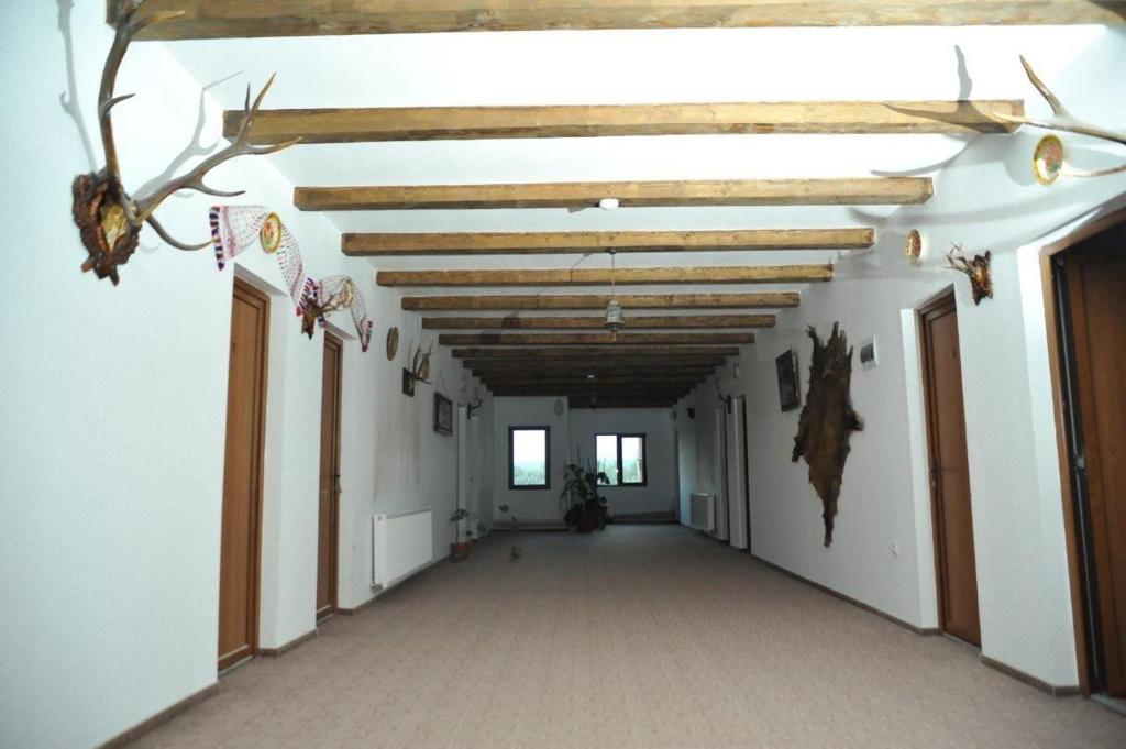 Pensiunea Doli photo