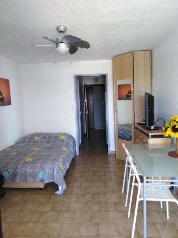STUDIO PROCHE MER ETANGS ET CANAUX - 4