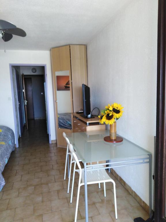 STUDIO PROCHE MER ETANGS ET CANAUX - 3