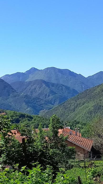 L'Ibrus Blue - 1