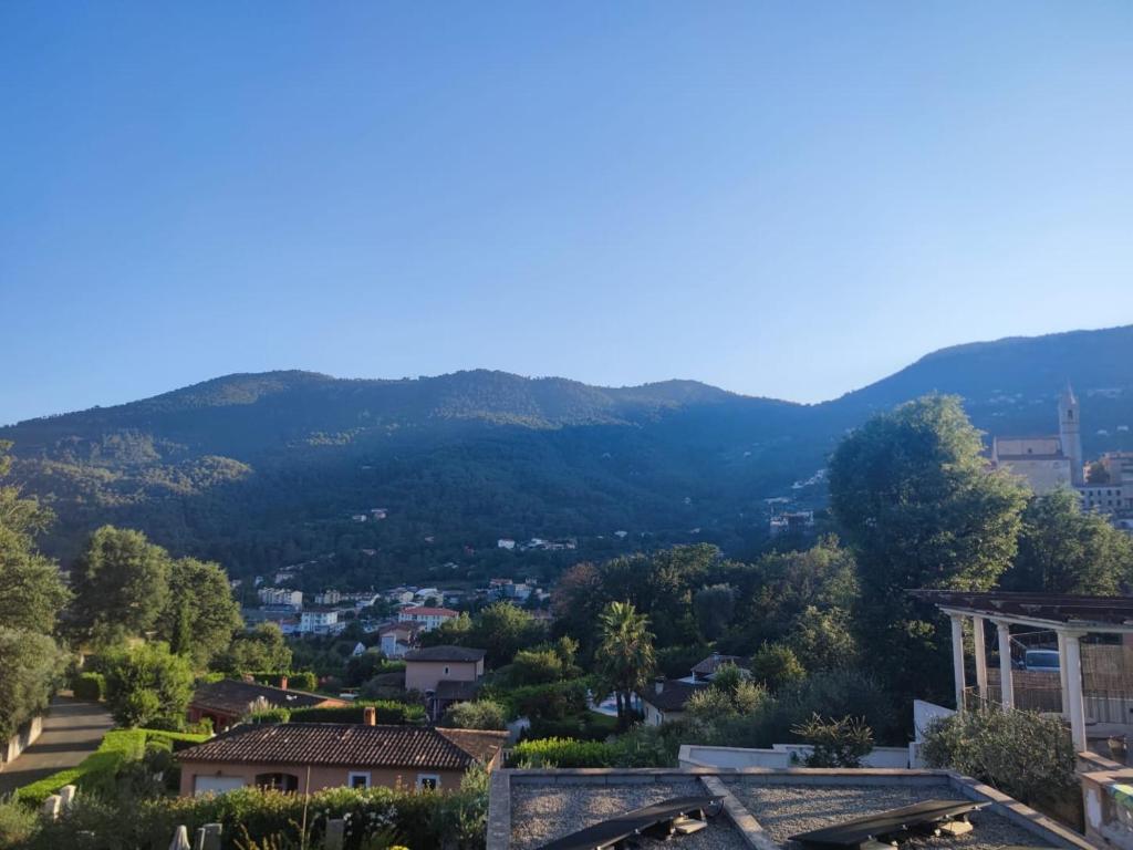 Le Magnolia - 2