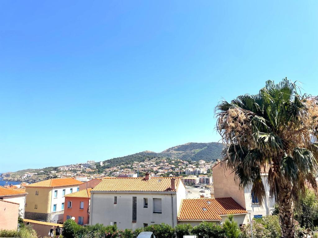 Appartement F2 a Banyuls-sur-Mer avec Terrasse et Parking Proche Plages - FR-1-309-37 전경