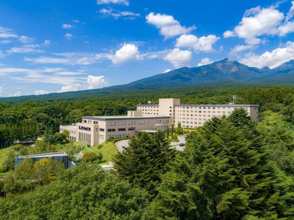 Grand Mercure Yatsugatake Resort & Spa, hotel in Hokuto