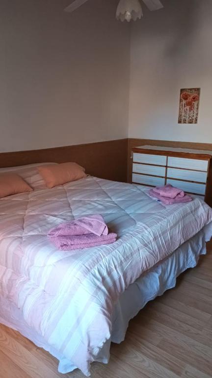Casa entre Neuquen y Plottier - 1
