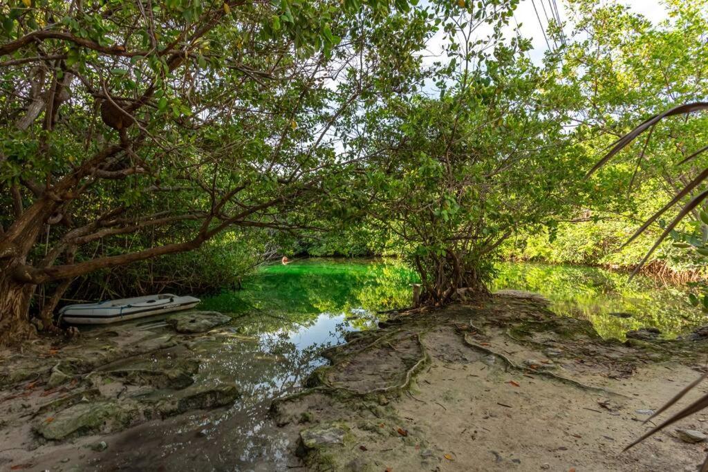 Luxury Beachfront Getaway Tankah Bay - 3