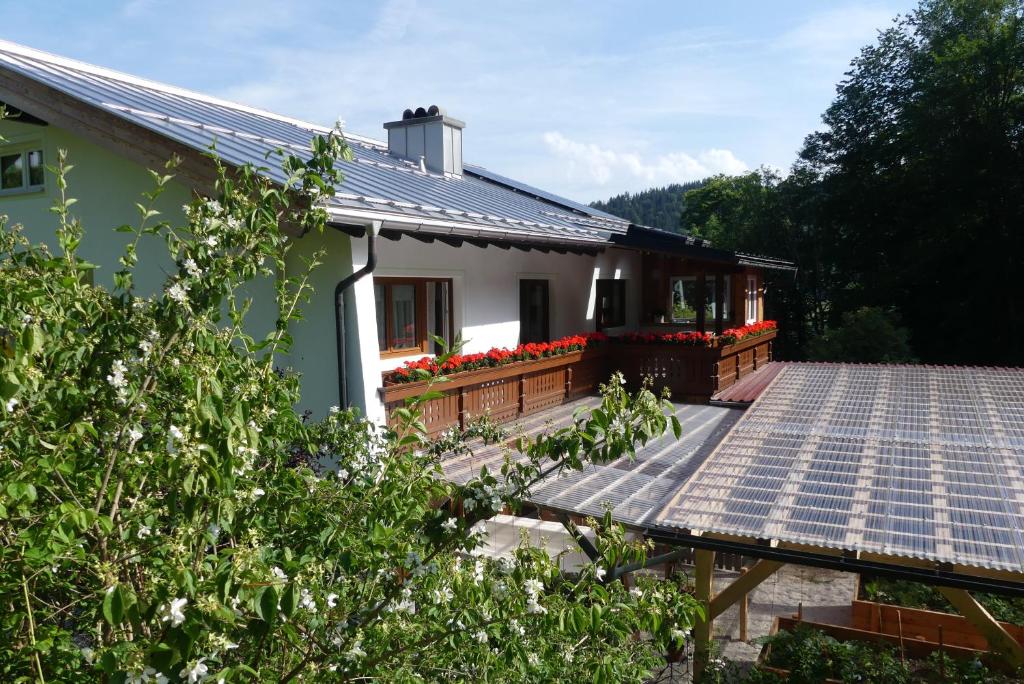 Ferienwohnungen Haus Kunterbunt - 3